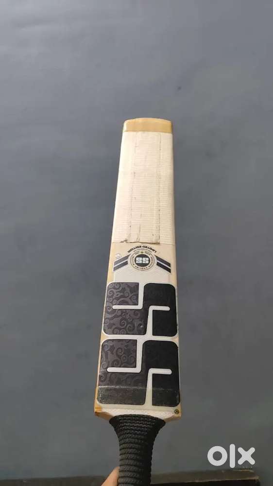 English willow bat