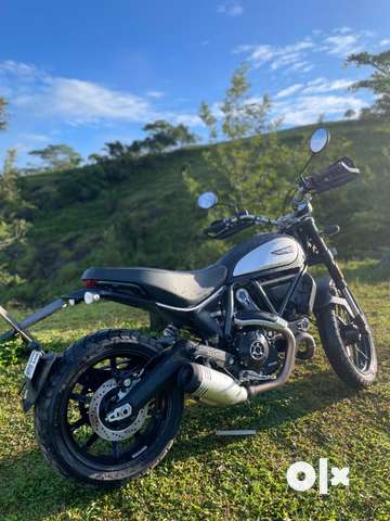 Olx store ducati scrambler