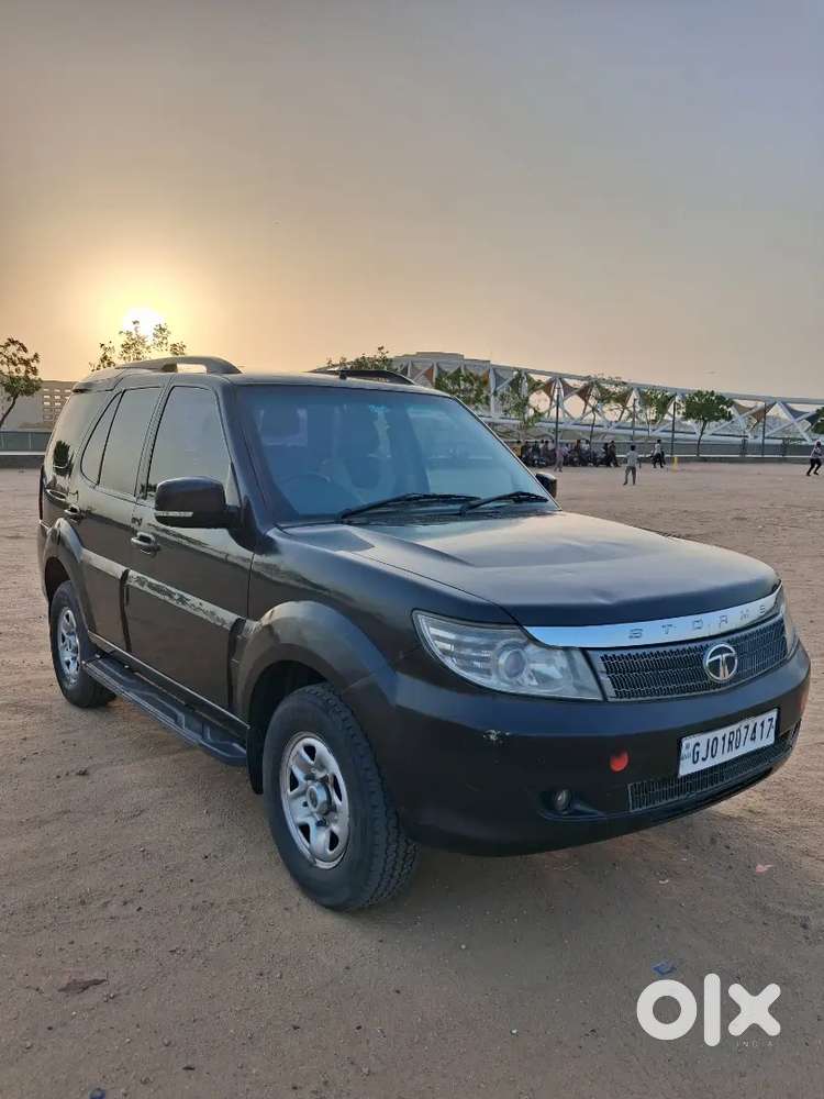 Safari Storme