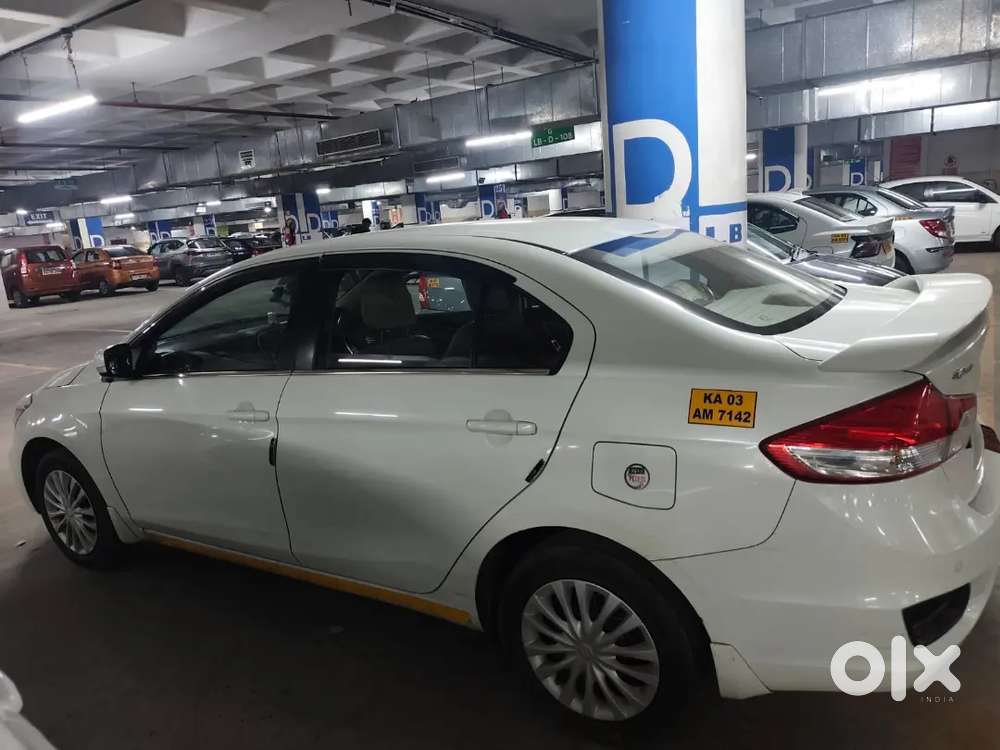 Maruti Suzuki Ciaz S 2024 Petrol 480000 Km Driven