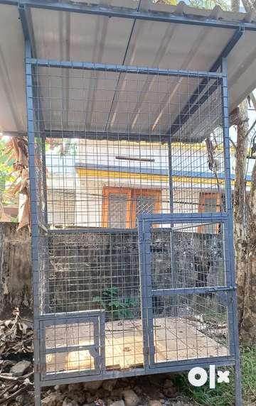 Olx kennel cheap