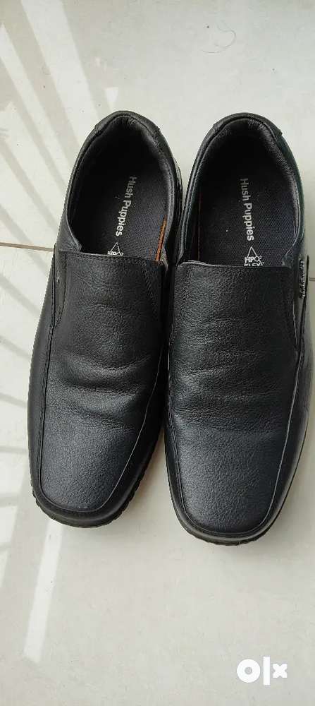 Hush shops puppies olx