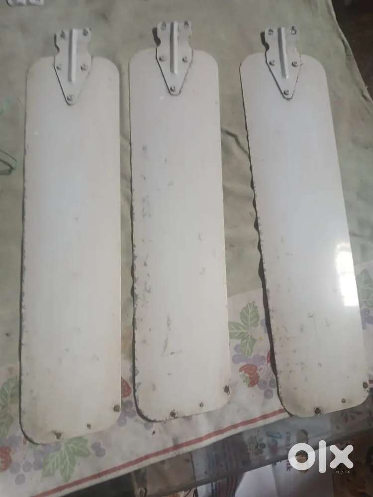 Ceiling Fans
