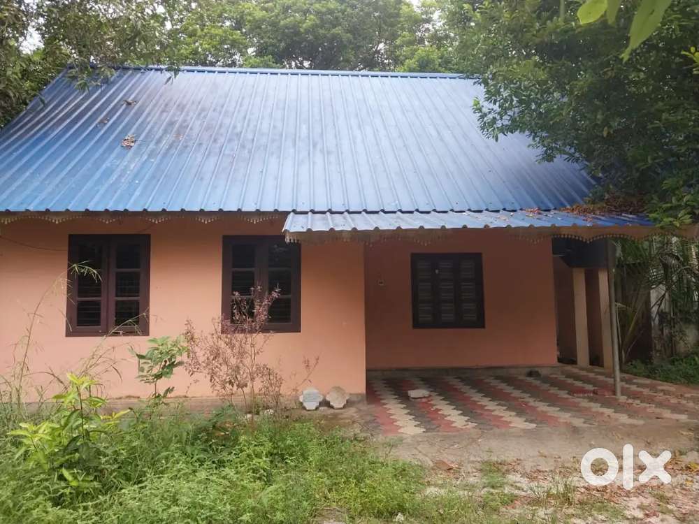 House and 15 cent plot for sale near SBI bank chirayinkeezh Lands