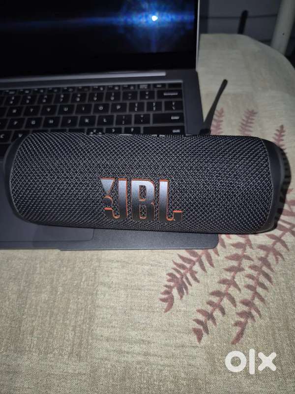 JBL FLIP 6 (4 Month Old)