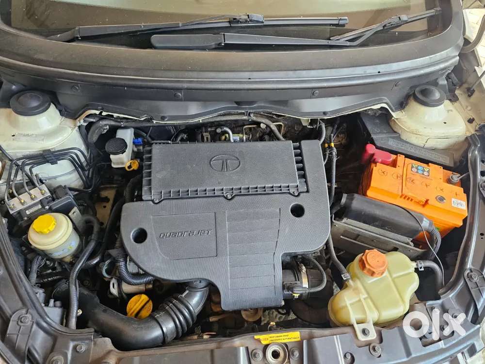 Indica Vista D90 Special Edition