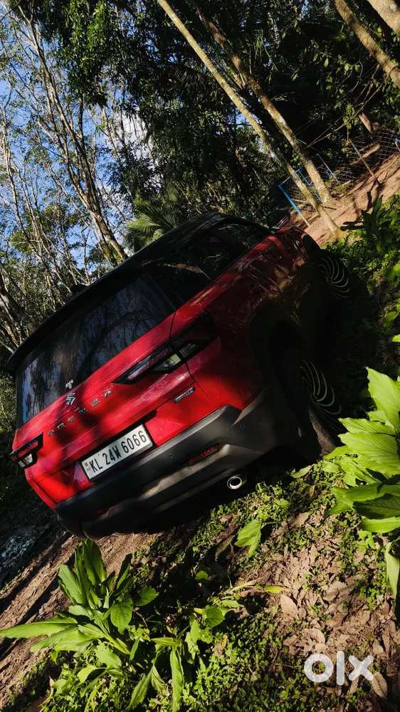 Maruti Suzuki Brezza 2023 Petrol 30000 Km Driven