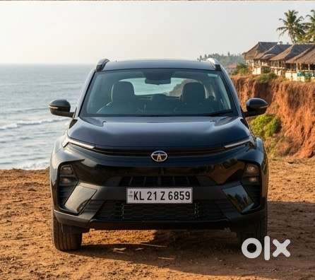 2024 Tata Nexon Fearless Plus S Dark Edition,petrol Automatic Dct
