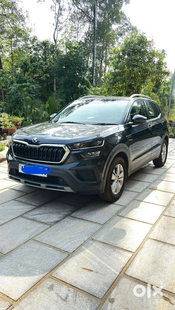 Skoda Kushaq 2023 Petrol Well Maintained
