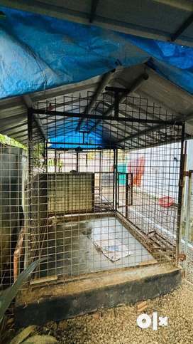 Dog Cage Pets for sale in Cherthala OLX