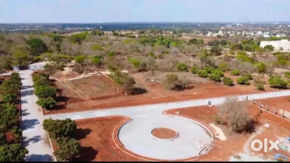 Farm plots in Thally