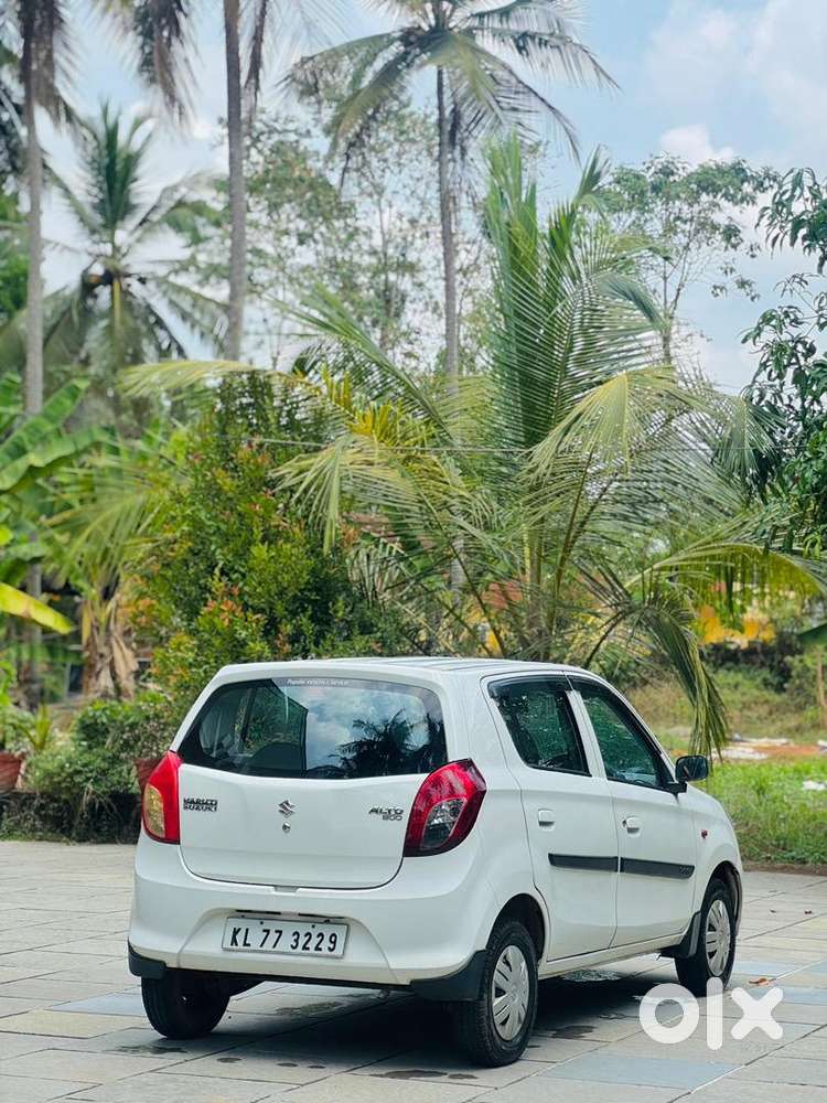 Alto 800 2019