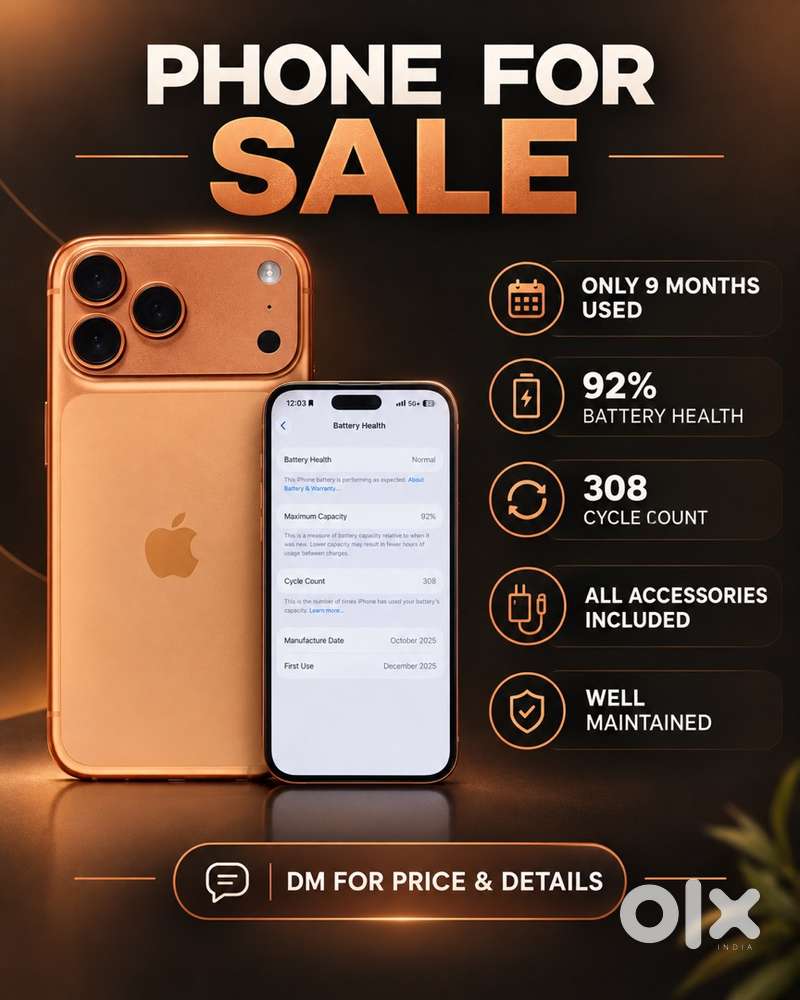 17 pro max 256gb