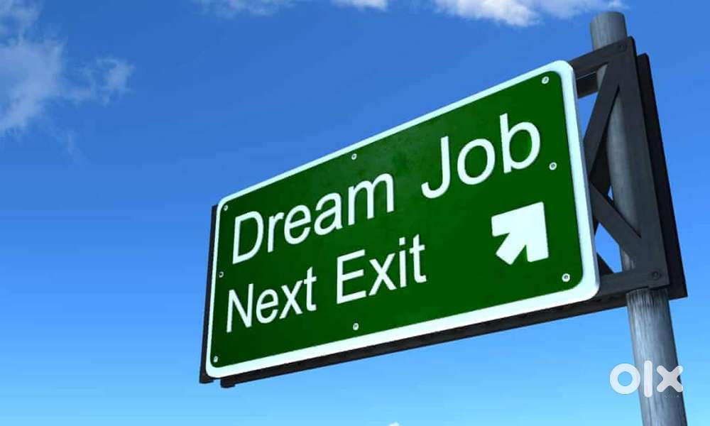 Dream Jobs