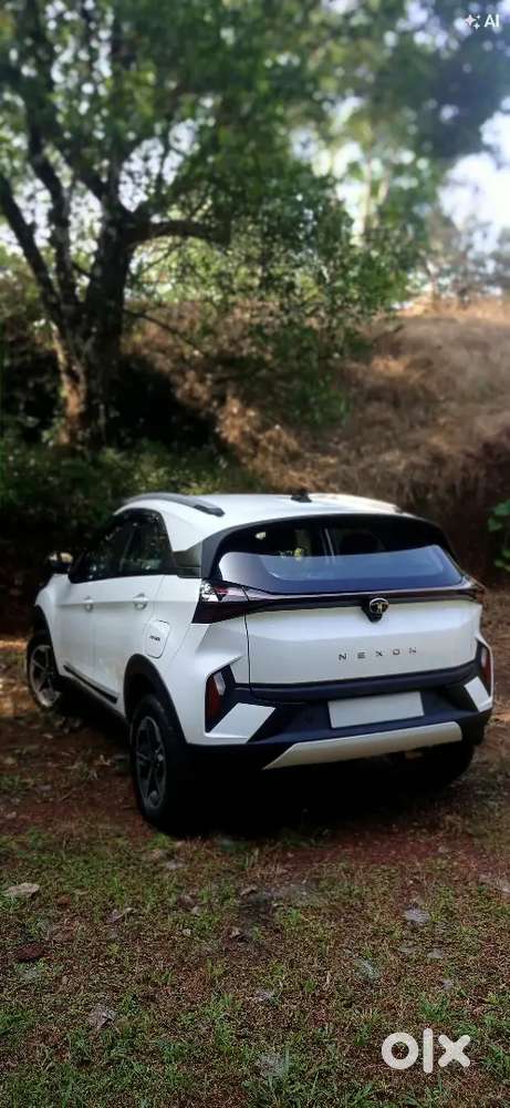 Tata Nexon 1.2 Petrol 2024