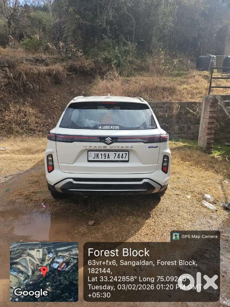 Maruti Suzuki Grand Vitara 2025 Petrol 9901 Km Driven