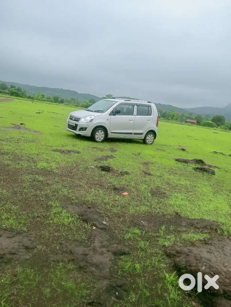 Maruti Suzuki Wagon R 2013 Car
