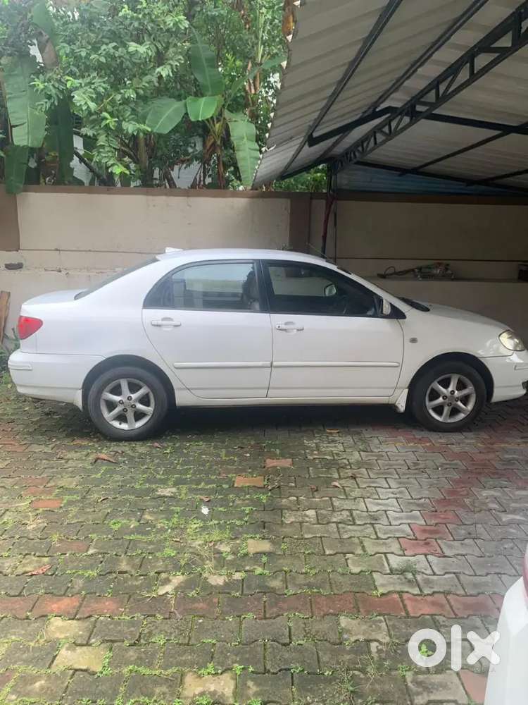 Toyota Corolla 2003 Petrol Well Maintained