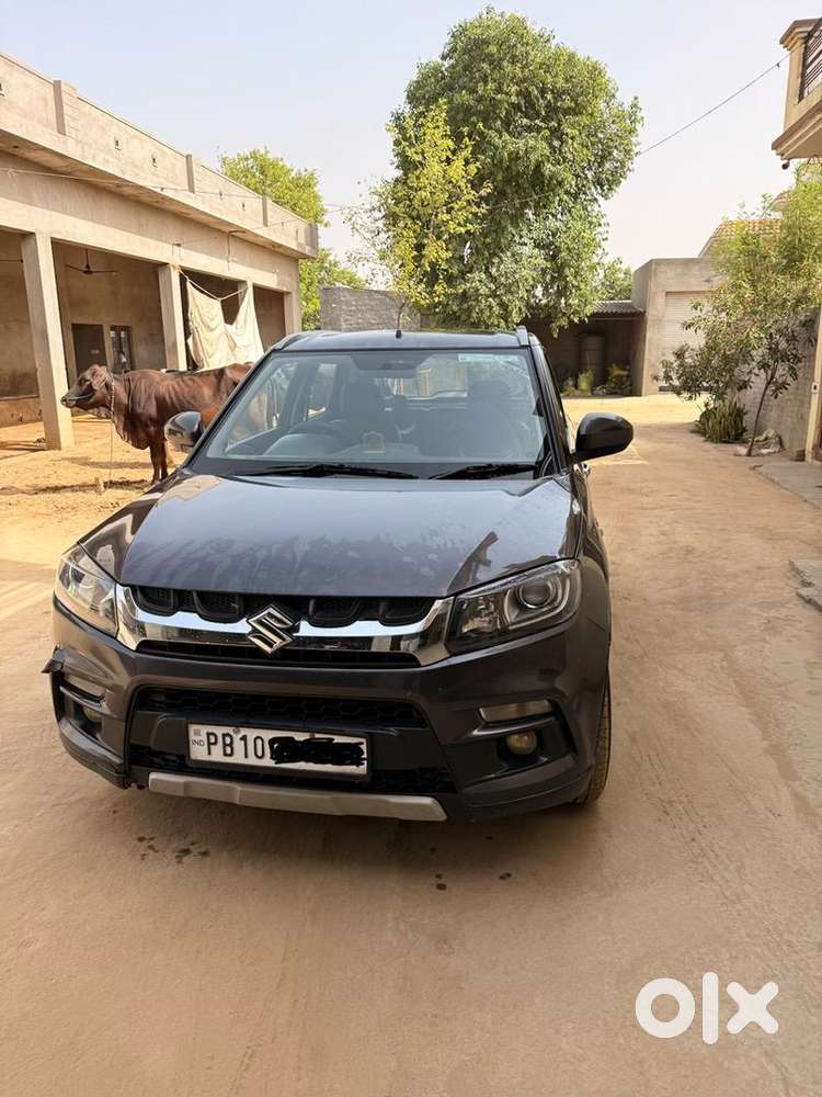 Maruti Suzuki Diesel 2017