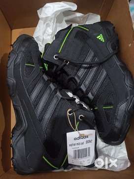 Olx cheap adidas terrex