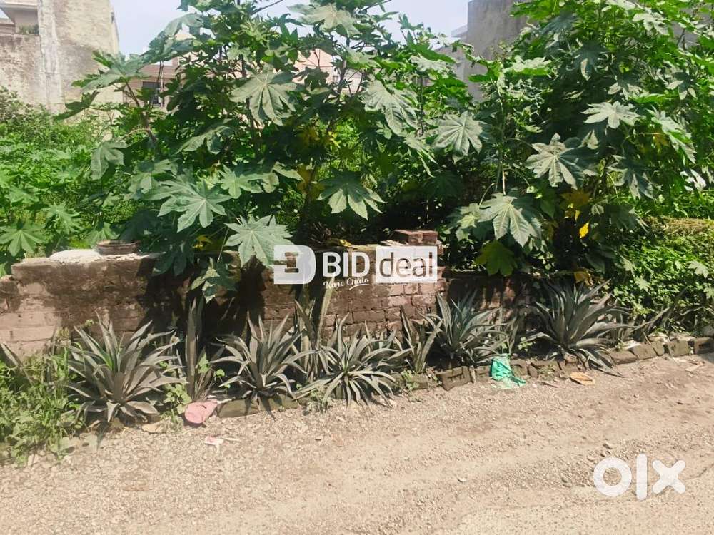 Residential Open Plot(Rakhshikargah)