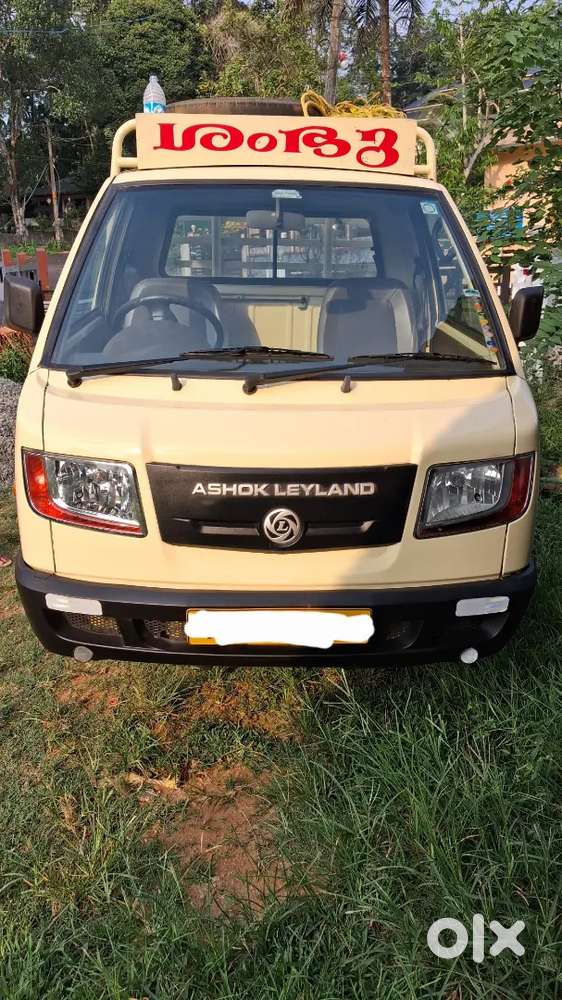 Pick Up  Truck Ashoklayland Dosth