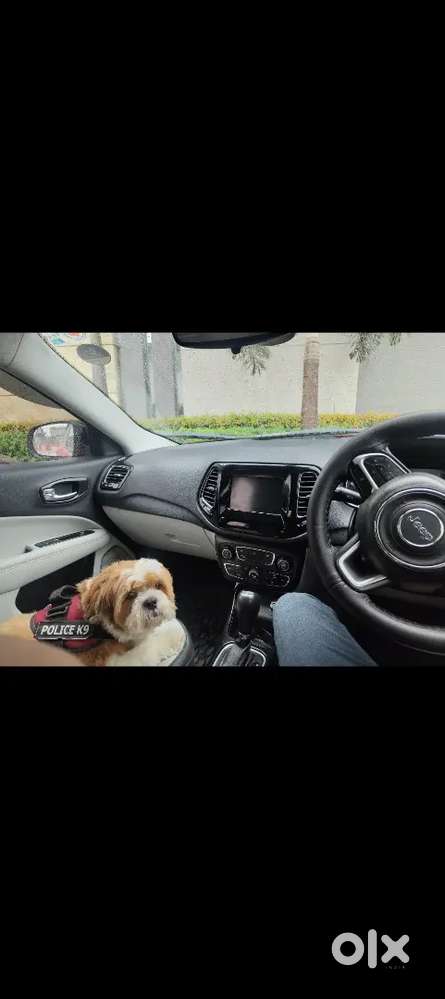 Jeep Compass 2017 Petrol 95300 Km Driven