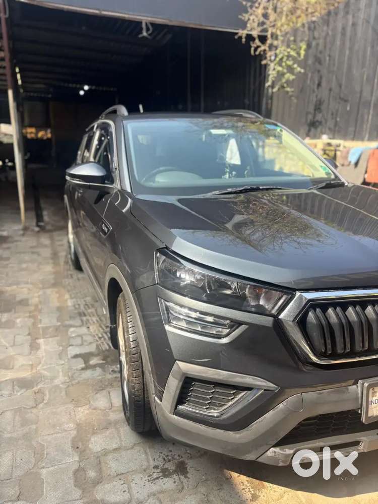 Skoda Kushaq 2022 Petrol Well Maintained