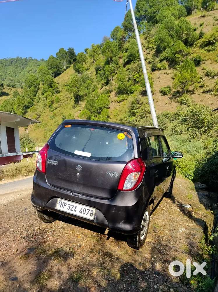Argent Sall Alto 800
