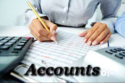 Accountant - Accountant - 1771546372