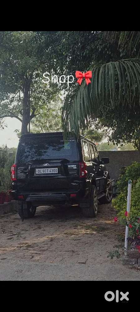 Mahindra Scorpio 2021 Diesel 50500 Km Driven