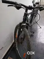 BELLEZA 3.3 Cycle