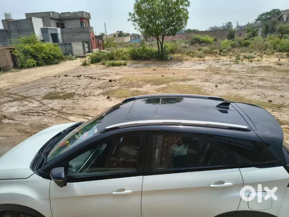 Tata Nexon 2024 Petrol Well Maintained