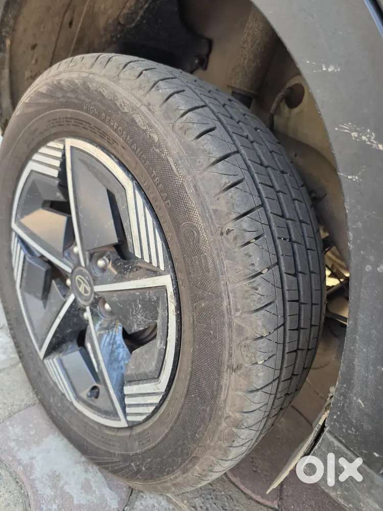 Jh09bf0588 New Nexon Diesel Mt Fir Sell At Bokaro Jharkhand