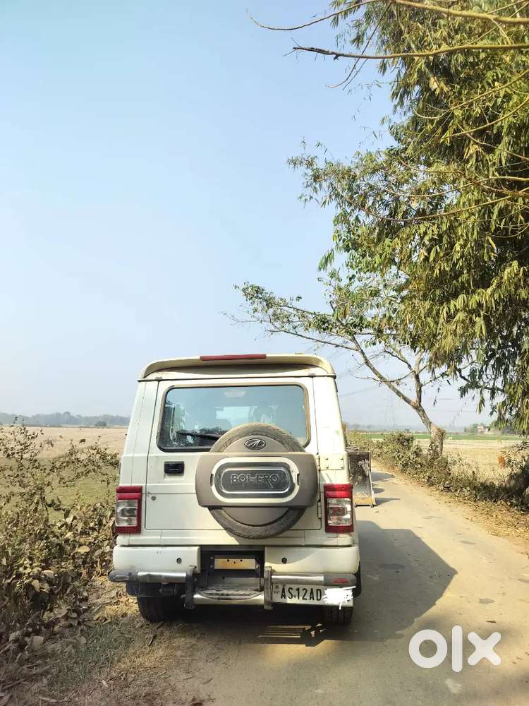 New Girl Purchase Good Condition Suv Car