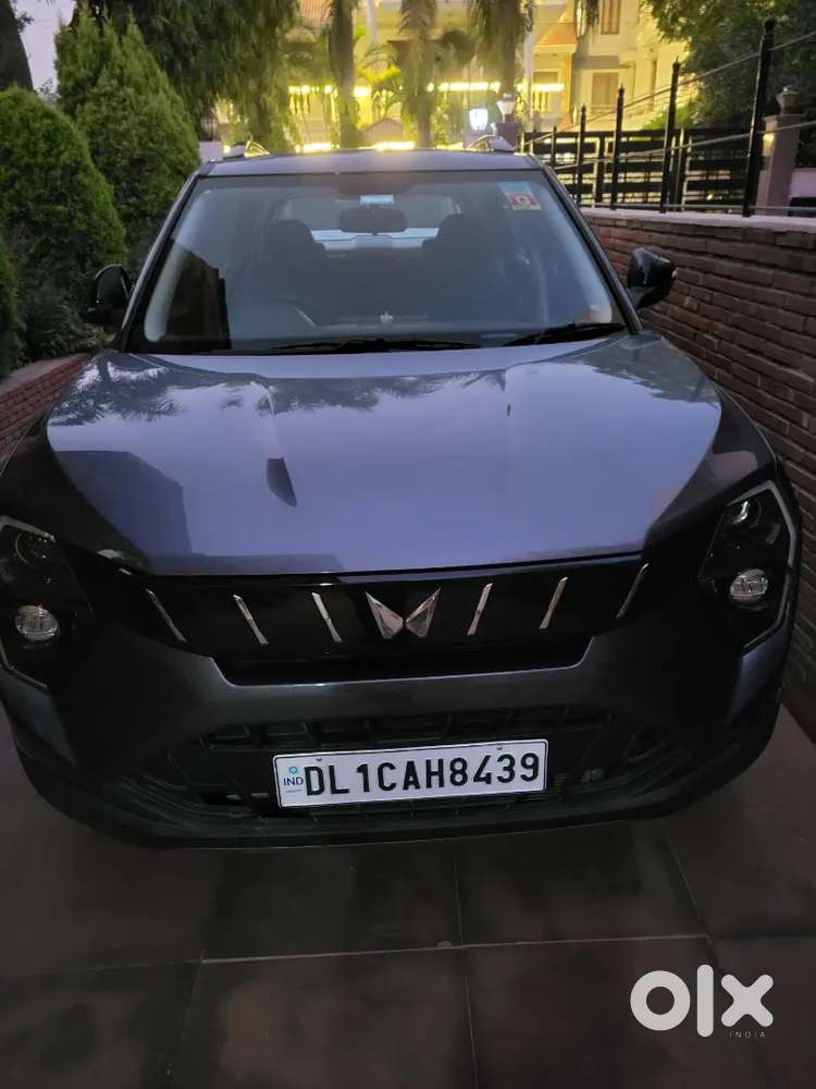 Mx1 Variant