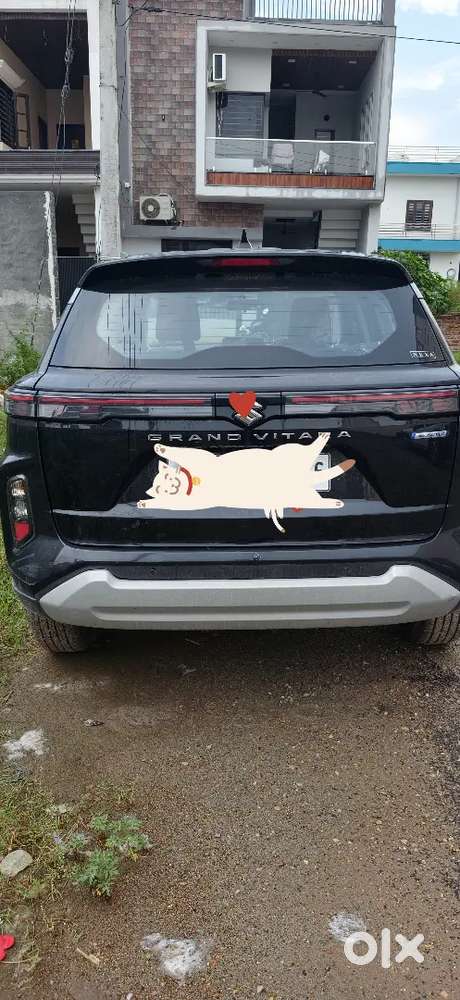 Maruti Suzuki Vitara 2025 Black Dealer Is Add To Side Rehan