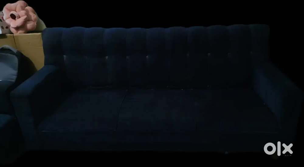 5 year old sofa