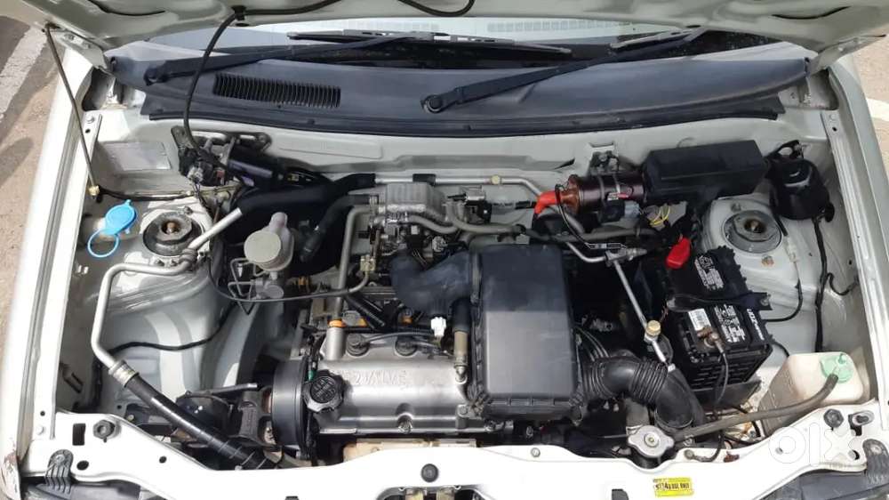 Alto Lxi Good Condition.