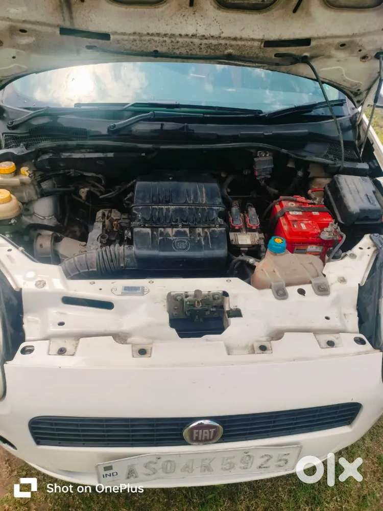 Fiat Punto 2012 Top Model