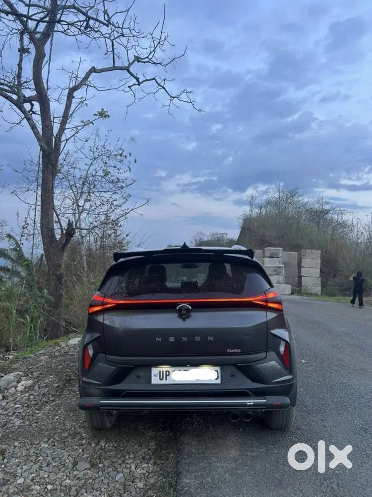 Tata Nexon 2024 Petrol 28753 Km Driven