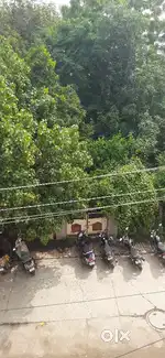 House for sell