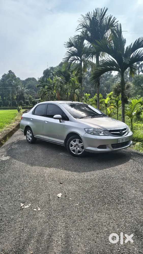 Dolphin Facelift Model