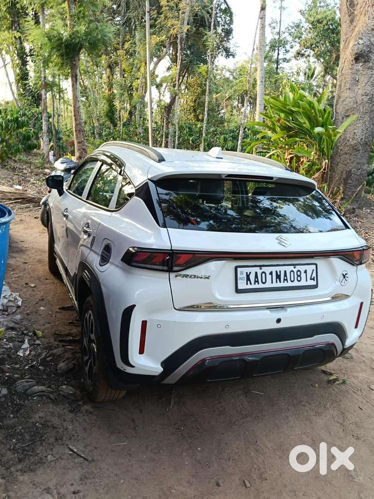 Maruti Suzuki Petrol 2024