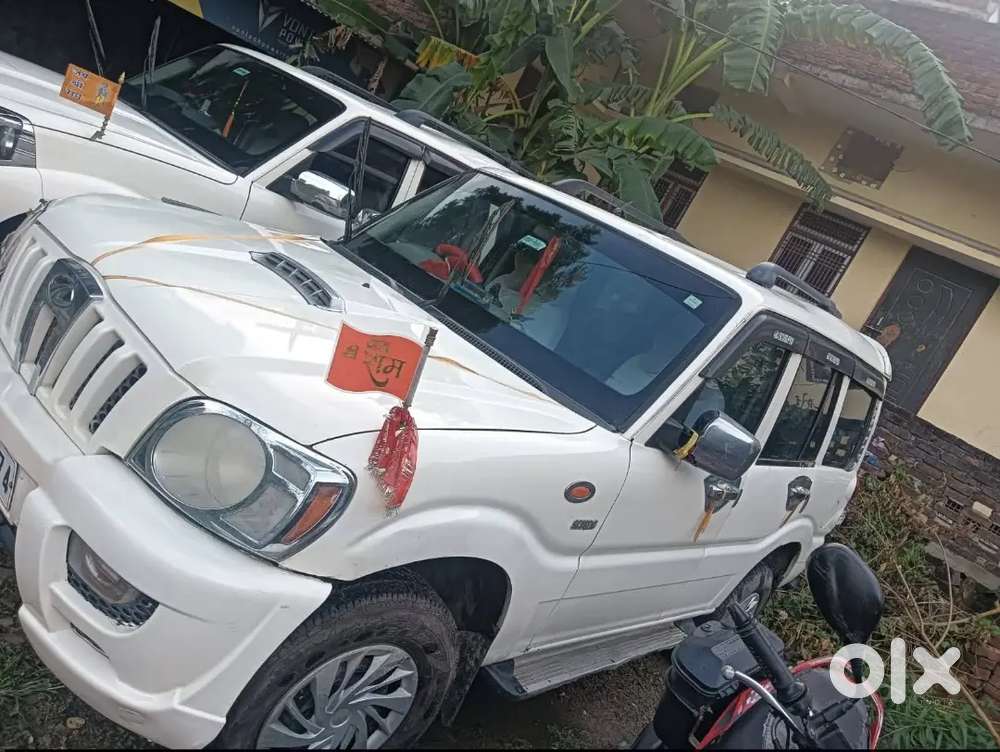 Scorpio 2010