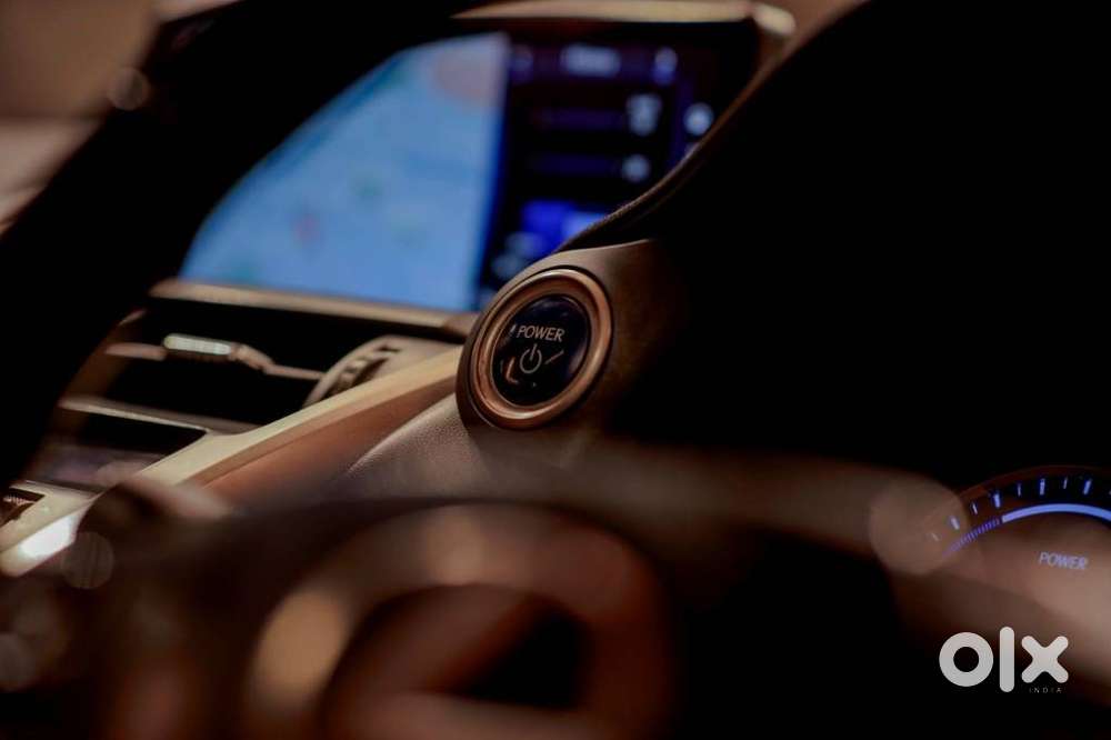 Lexus Nx 300h, 2019, Petrol