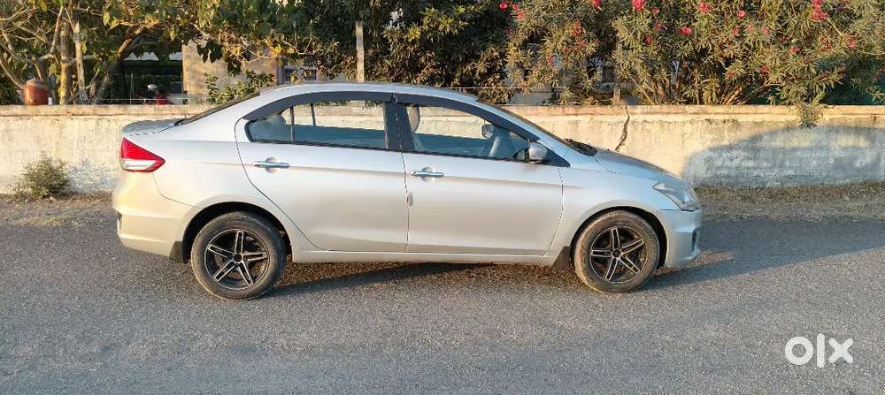 Maruti Suzuki Coaz