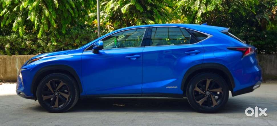Lexus Nx Lexus-nx-300h-luxury, 2018, Petrol