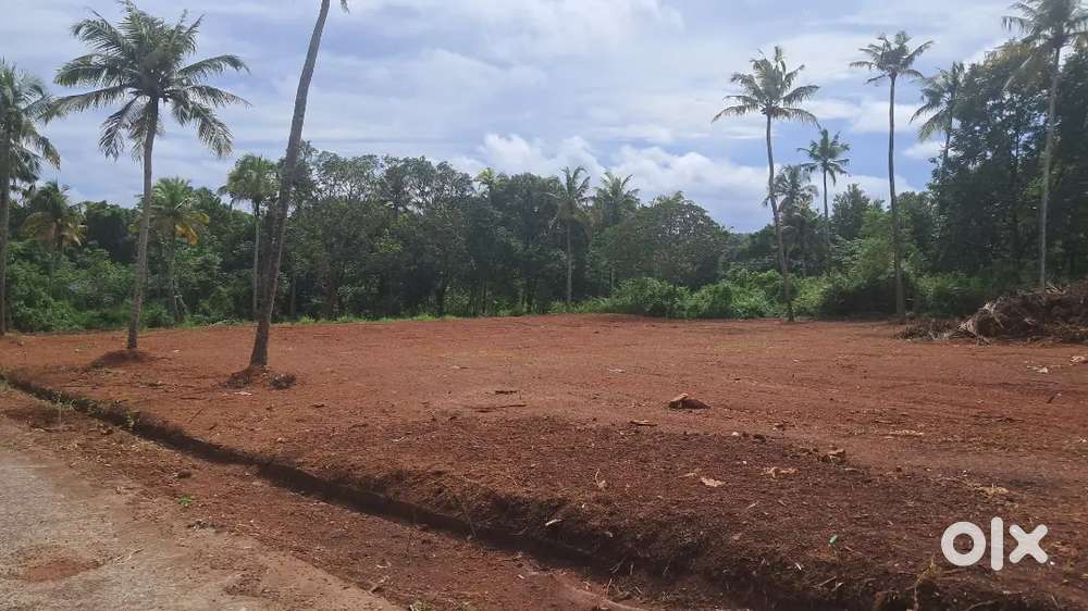 Residential Land for Sale in Cherumoodu 300m from Kollam-Theni Highw