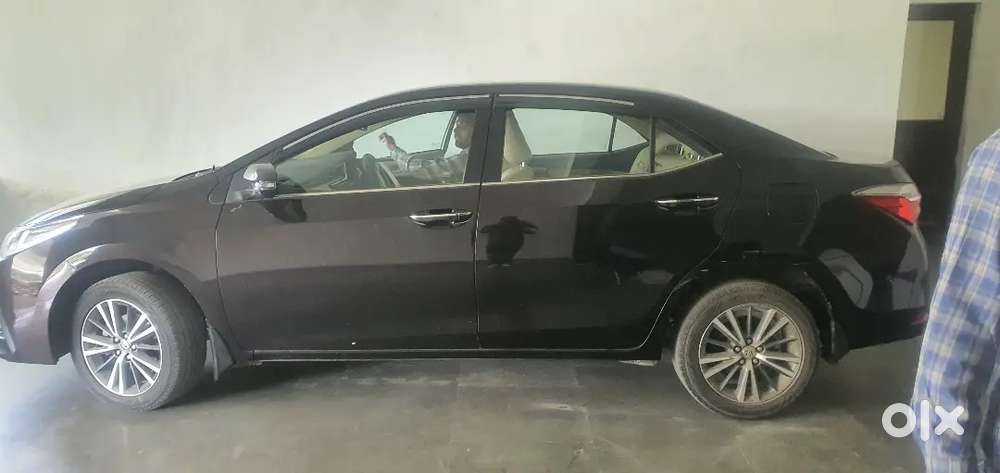 Cars 24 Or Spiny Other Company Not Call